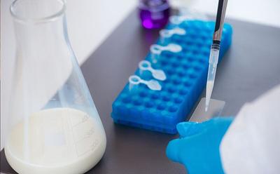 Cultivated Whole Cow’s Milk Could Soon Be Available In The US
