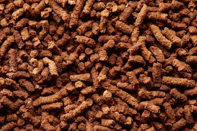 Study: PEKILO®Pet Mycoprotein Ingredient by Enifer is Seven Times More Efficient Than Soy Protein Concentrate