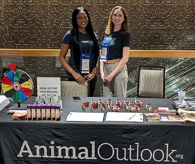 Animal Outlook Finds Behavior Change Strategies and Volunteer Efforts Fuel Growth of Vegan Diets