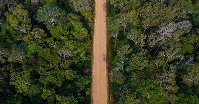 Tens of Thousands of Acres of Amazon Rainforest Destroyed for COP30 Climate Summit Road