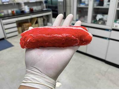 South Korea Invests $10M in New Cultivated Meat Research Center