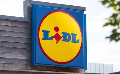 Lidl and ProVeg Partner For Plant-Based Cheese Competition