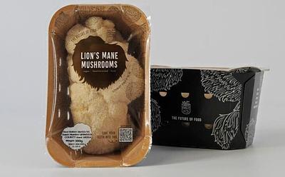 You Can Now Buy Lion’s Mane Mushrooms In UK Supermarkets