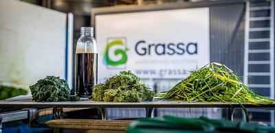 Grassa Raises €3.6M to Further Develop Grass Protein Production Technology