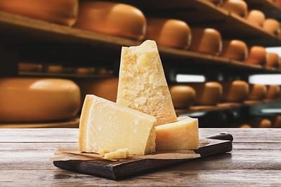 The Suffering of Cows in the “Protected Cheese” Industry