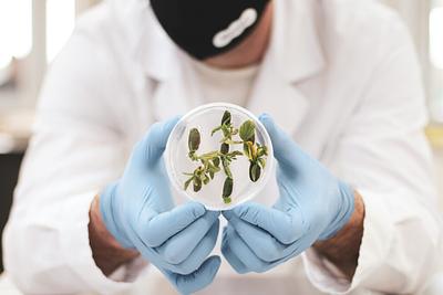 Moolec Science Merges with Bioceres Group to Scale Molecular Farming Platform