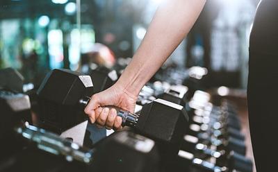 Study Finds No Difference In Muscle Fiber Protein Synthesis Between Vegan And Omnivore Diets