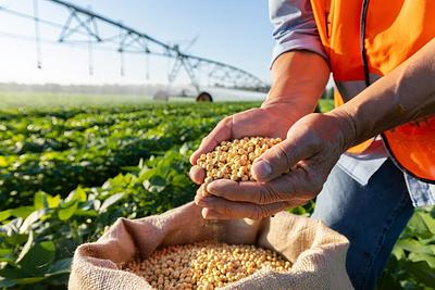 EU-Funded Research Explores Sustainable Protein Alternatives for European Agriculture