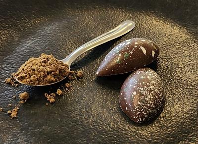 Cellva Shifts Focus to Microencapsulation Technology with Launch of Cocoa Substitute