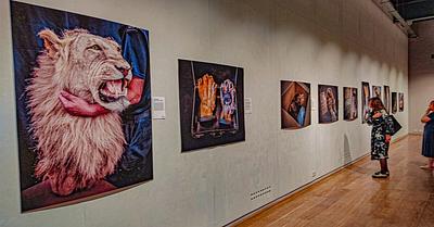 Photography Exhibition Exposing Trophy Hunting Came to London