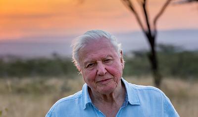 David Attenborough Just Turned 99, These Are the 5 Lifestyle Habits He Shares With the World's Longest-Living People