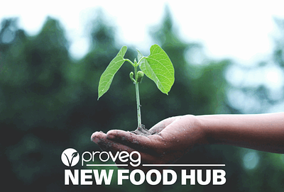 Sustainability Can’t Just Be a Slogan: What Plant-Based Brands Must Learn