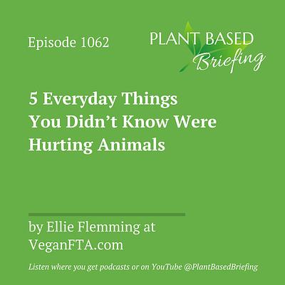 1062: 5 Everyday Things You Didn’t Know Were Hurting Animals by Ellie Flemming at VeganFTA.com