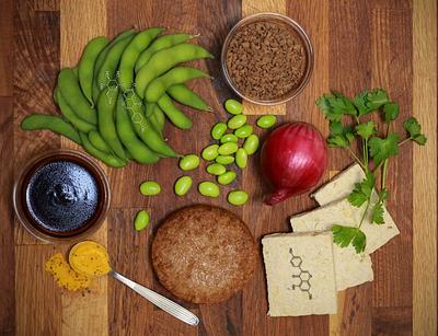 Study: Processed Food Classification Systems May Not Accurately Reflect the Healthiness of Plant-Based Products