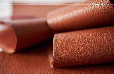 France’s Faircraft Secures VitroLabs’ Patent Portfolio Through US Asset Acquisition
