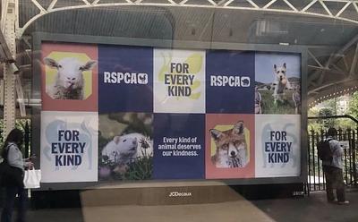 Advertising Watchdog Investigates ‘RSPCA Assured’ Billboards After Complaints
