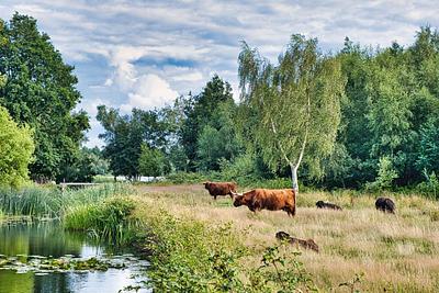 Planned EU Farming Reforms Criticised for Weakening Environmental Regulations
