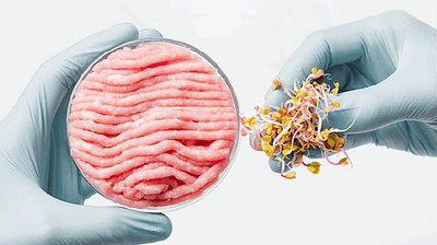 Cultivate at Scale Joins Forces with Biopharma Experts to Scale Cellular Agriculture in the Food Sector