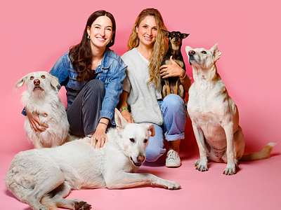 Vegdog: German Plant-Based Dog Food Firm Raises $10M After Sales Grow by 66%