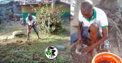 Vegan Group Advances Veganic Initiatives in Liberia