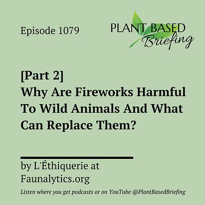 1079: [Part 2] Why Are Fireworks Harmful To Wild Animals And What Can Replace Them? By L'Éthiquerie at Faunalytics.org