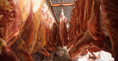 Farmer Complains Over Closure of Local Slaughterhouses in Surrey, UK