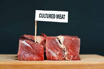 Korean Scientists Develop Marbled Cultivated Meat Using Self-Healing Scaffolding Technology