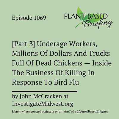 1069: [Part 3] Underage Workers, Millions Of Dollars And Trucks Full Of Dead Chickens — Inside The Business Of Killing In Response To Bird Flu by John McCracken at InvestigateMidwest.org