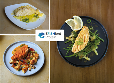 EFISHient Protein Develops Plant-Based Grouper Fillet Prototype Ahead of Cultivated Product