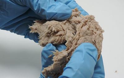ODS Protein Develops Mycoprotein Ingredients from Fermentation of Agro-Food Byproducts