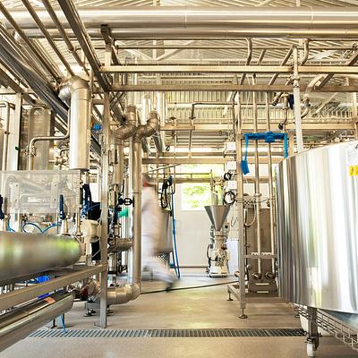 Sweden’s cReal Food Opens New Facility Producing Oat-Based Alternative to Powdered Milk