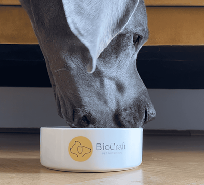 Analysis: Cultivated Ingredients by BioCraft Pet Nutrition Produce Far Fewer Emissions Than Beef Byproducts