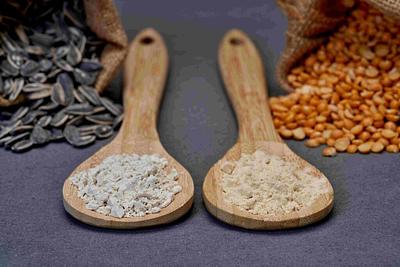 New Plant Protein Concepts from Lallemand, Burcon, and More at IFT FIRST 2025