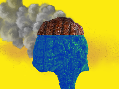 Plant-Forward Planetary Health Diet Can Lower Global Emissions by 17%