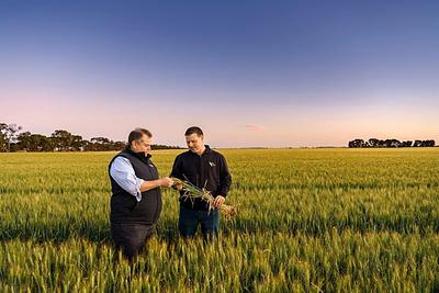 Bunge Finalizes $8.2B Merger with Viterra, Boosting Soybean and Corn Export Dominance