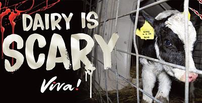 Advertising Standards Authority Bans Viva!’s ‘Dairy is Scary’ Ad, Sparking Controversy Over Censorship