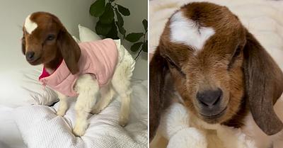 Article 3