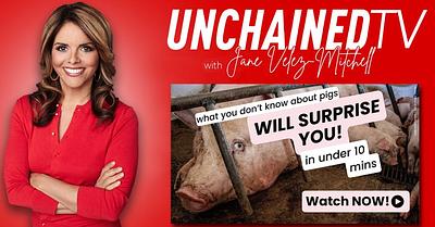 Regardez « The Hidden Lives of Pigs » Maintenant sur Unchained TV