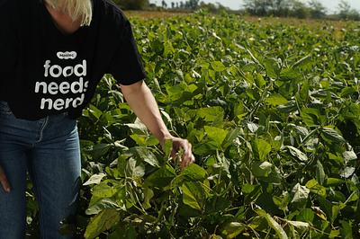 Moolec Science Receives US Patent for Soybean Capable of Producing Porcine Heme Proteins
