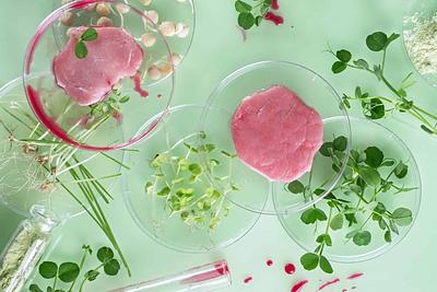 Study: How Upcycled Agricultural Waste Could Support Cultivated Meat Production