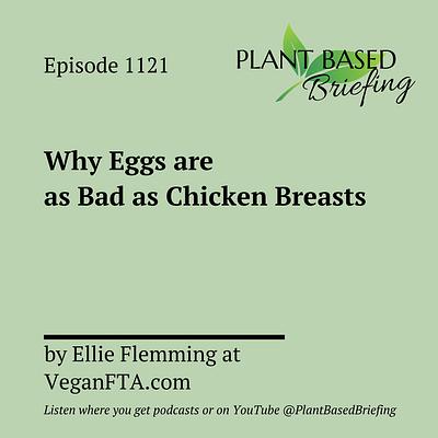 1121: Why Eggs are as Bad as Chicken Breasts by Ellie Flemming at VeganFTA.com