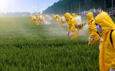 New Report Details ‘Invisible Tsunami’ Of Pervasive Chemical Toxicity