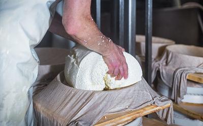 ‘Breakthrough’ Danish Study Could Transform Animal-Free Cheese