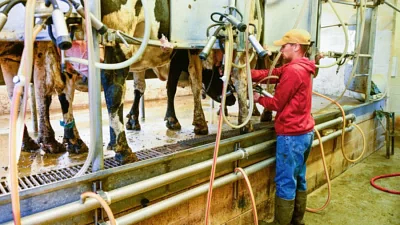 Dairy farms could be ground zero for the next pandemic