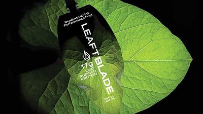 Leaft Foods Unveils Leaft Blade, Performance Nutrition from Green Leaf Protein