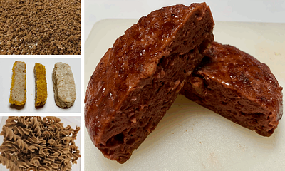 New Research Finds That Rapeseed Protein Could Be a Key Ingredient in Vegan Burgers