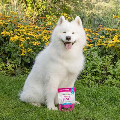 Archway Pet Food Acquires Plant-Based Dog Treat Brand Bright Planet Pet