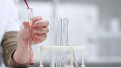 Te Protejo Reveals Interactive Map of Non-Animal Testing Labs Across Latin America