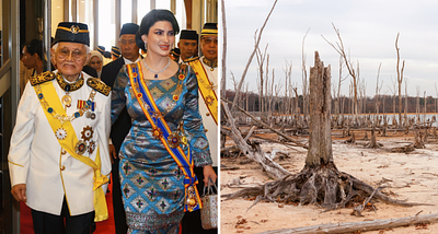 How a Malaysian dictator created the blueprint for ecological genocide—and watched it spread across three continents