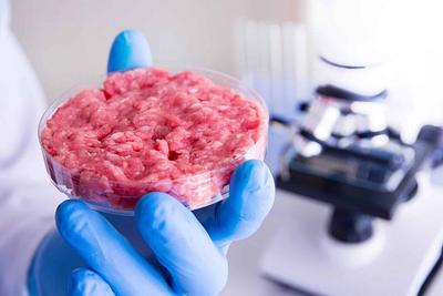Researchers in Switzerland Develop Cultivated Beef That is “Much Closer to Real Muscle”